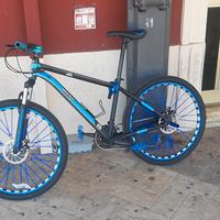 bicicletta 