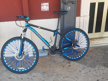 bicicletta 