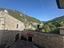 Immagine 11