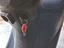 Immagine 6