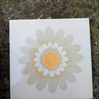 piastrelle con disegno a fiori