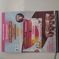 cards panini speciale  Torino 