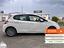 Immagine 25