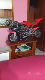 minimoto