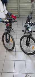 E-bike 2 biciclette elettriche.