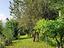 Immagine 11