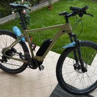 Bici elettrica