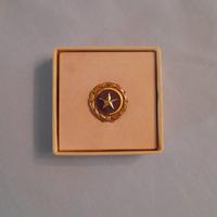 WW2 us spilla stella oro