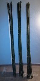 Canne di Bambù