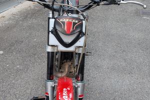 trial gas gas 280 targato 