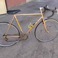 bici da corsa e Mountain bike 