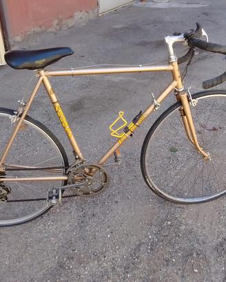 bici da corsa e Mountain bike 