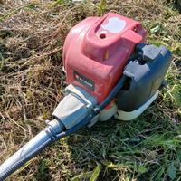 Decespugliatore Einhell 4 Tempi NO MISCELA