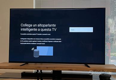 TV Oled Sony KD 65A8 (con alone su pannello)