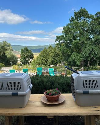 2 TRASPORTINI "CLIPPER 5 " MADE IN ITALY