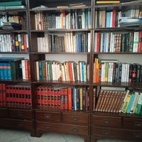 Studio , scrivania, libreria, divano, sedia