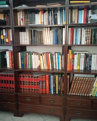 Studio , scrivania, libreria, divano, sedia