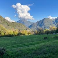 Terreno Residenziale Cerano d'Intelvi