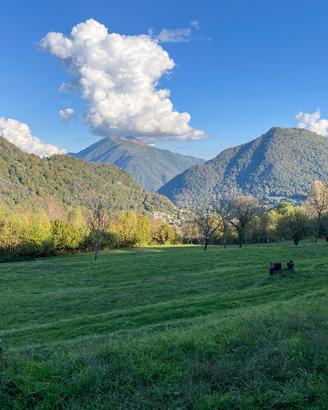 Terreno Residenziale Cerano d'Intelvi