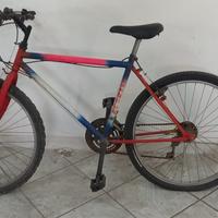 Bicicletta adulto