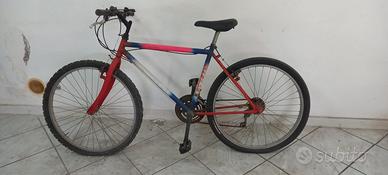 Bicicletta adulto