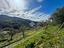 Immagine 29