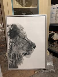 Cornici con stampe varie