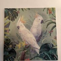 Quadro pappagall