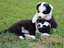 Immagine 3
