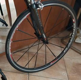 Ruote fulcrum