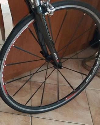 Ruote fulcrum