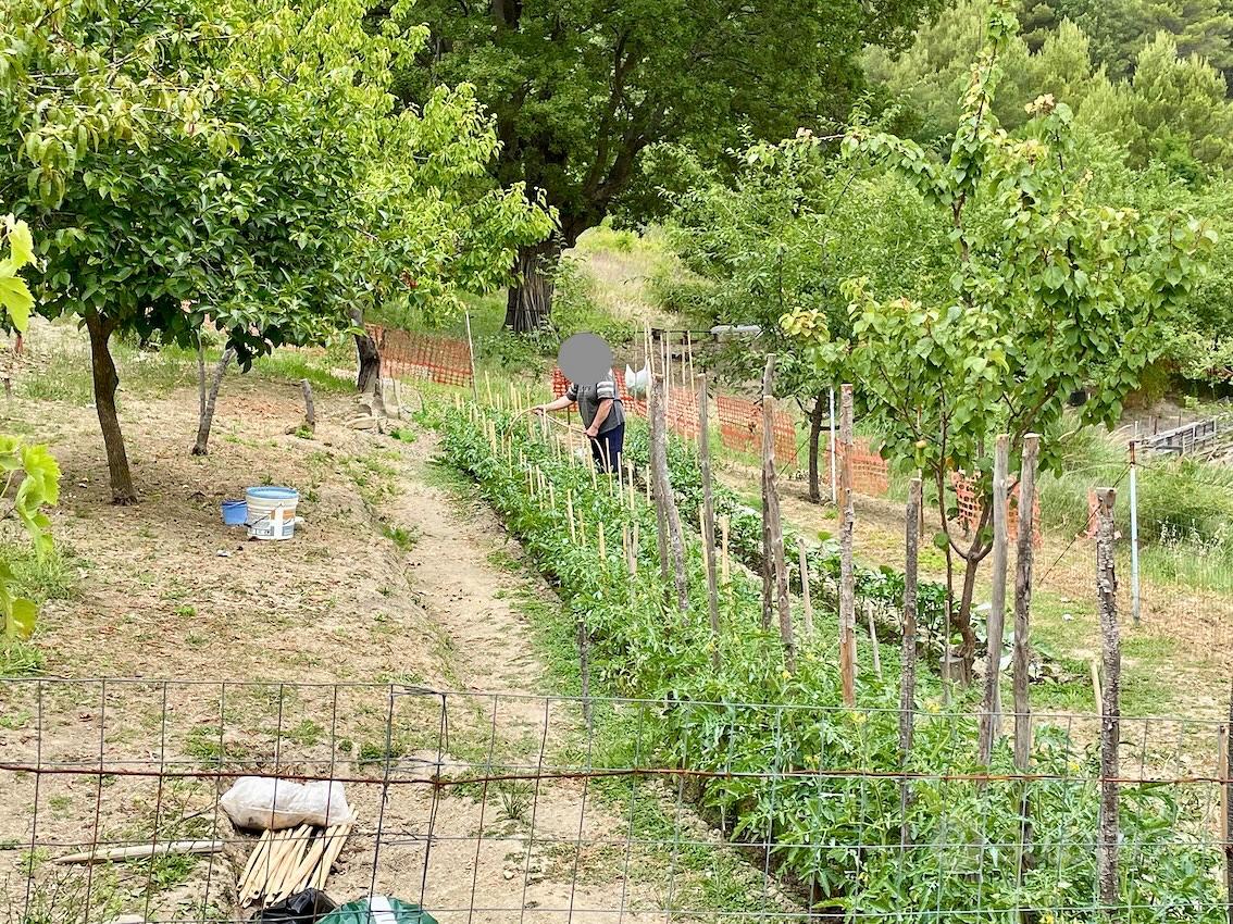 Esclusiva proprieta' agricola in montagna - Vista 4