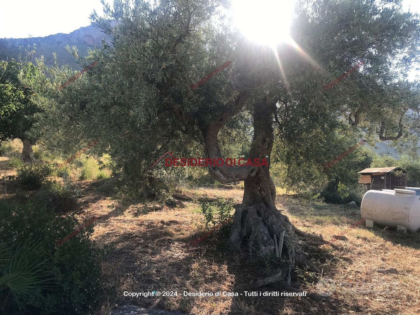 Terreno, Altavilla Milicia. - Vista 5