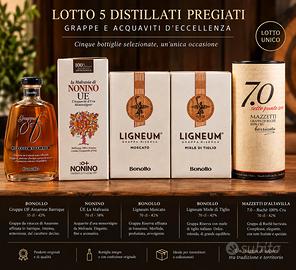 lotto di 10 bottiglie di grappe pregiate