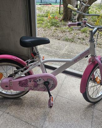 bicicletta