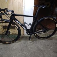 Cipollini bond