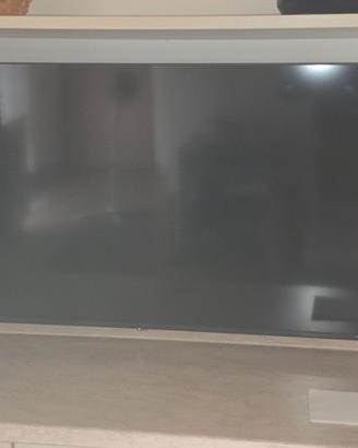 Smart  TV 55 pollici