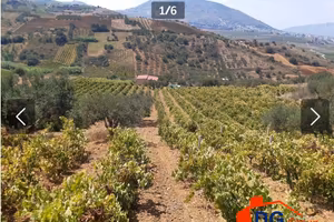 TERRENO CON RUDERE