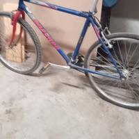 biciclette