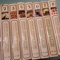 Grande Enciclopedia Della Cucina Curcio