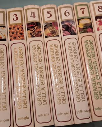 Grande Enciclopedia Della Cucina Curcio