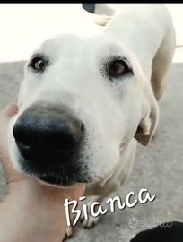 Bianca