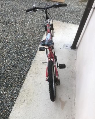 Bicicletta bimbo