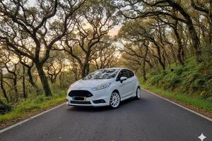 FORD FIESTA ST (Trattabile)
