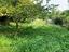 Immagine 18