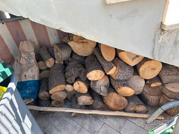 Legna di canfora