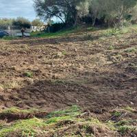 Terreno di 800 mq.a 600 metri dalla spiaggia