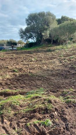 Terreno di 800 mq.a 600 metri dalla spiaggia