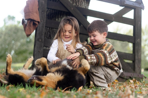 Terreni agricoli ,piccole attività o investimento