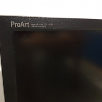 Monitor professionale Asus PA249Q 24,1" widegamut